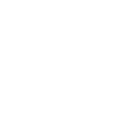 fiat_web