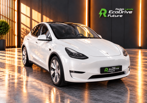 Tesla_Model_Y_Long_Range_AWD_bila_zadni-hero_
